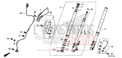 GABEL, VORNE Z125MAK de 2019